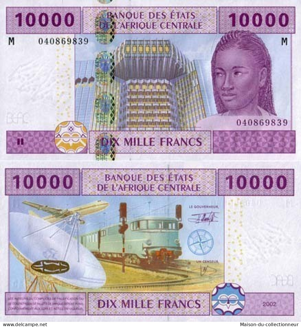 Billets Banque Afrique Centrale Centrafrique Pk N° 310 - 10000 Francs - Centraal-Afrikaanse Republiek