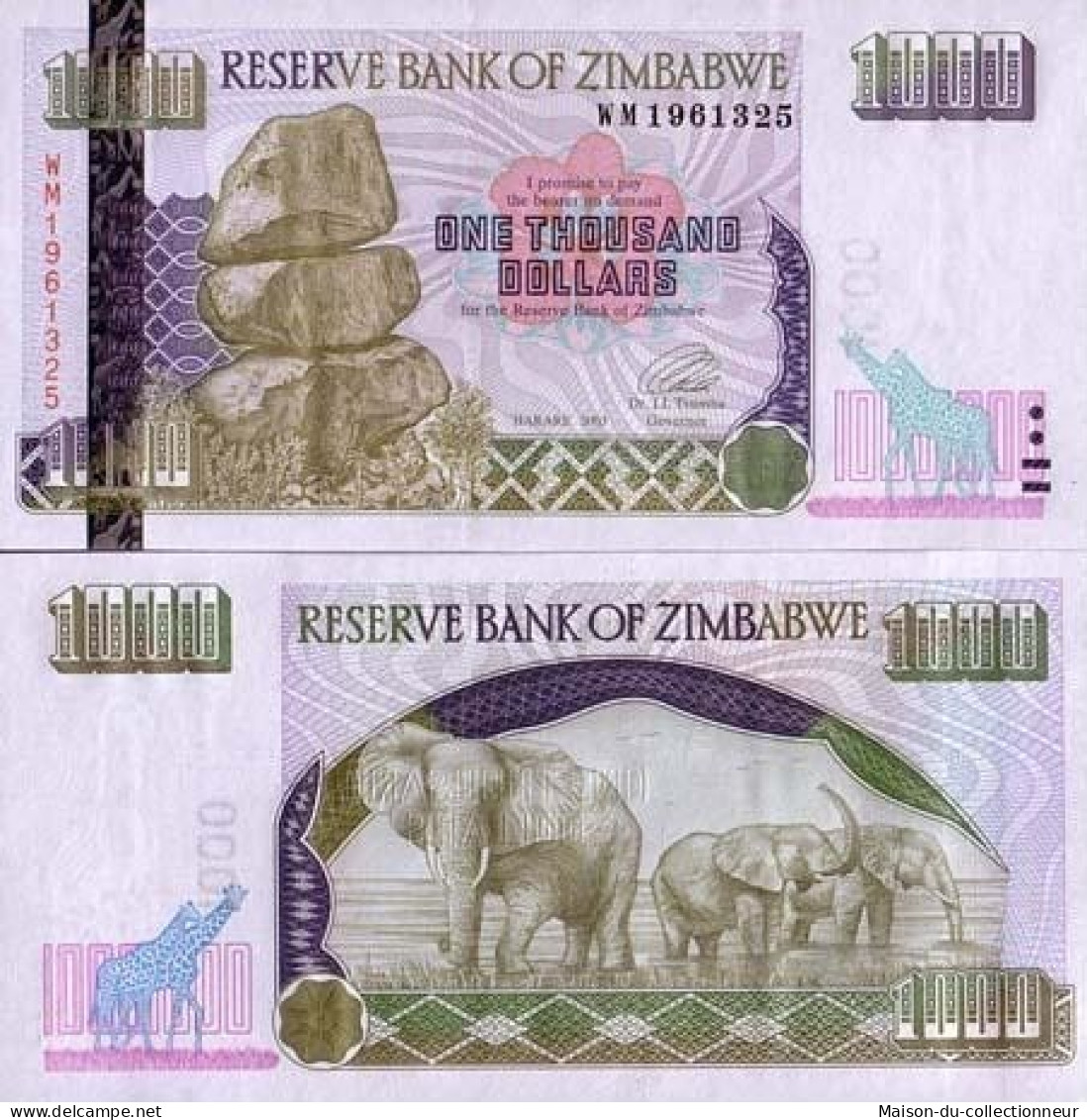 Billets De Banque ZIMBABWE Pk N° 12 - 1000 Dollars - Simbabwe