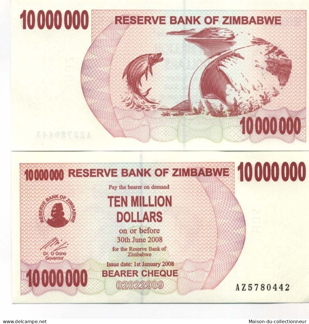 Billet De Banque Zimbabwe Pk N° 55 - 10000000 Dollars Bearer - Zimbabwe