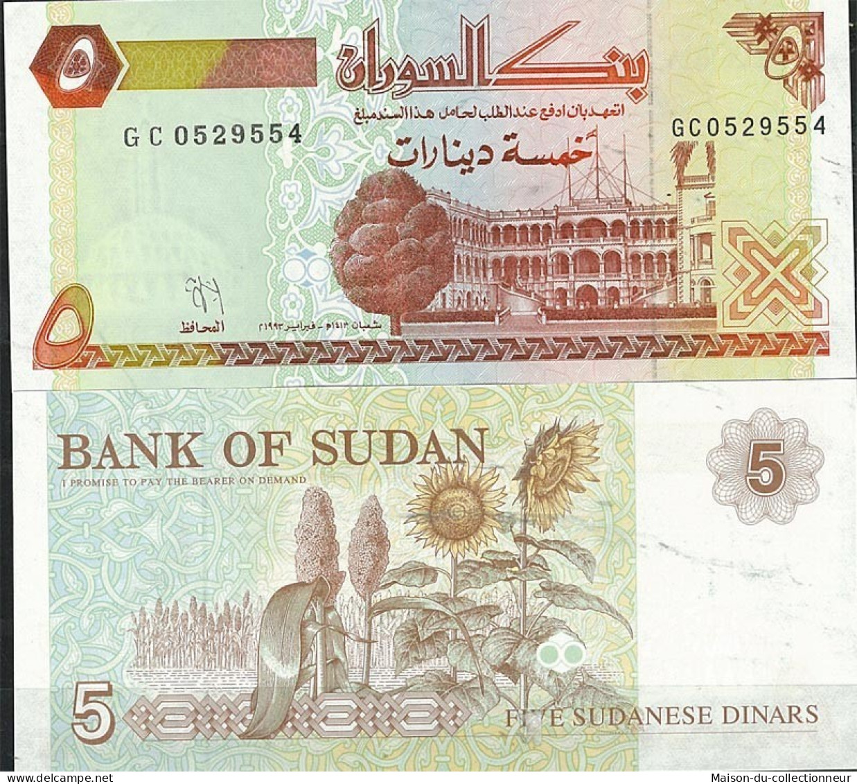 Billet De Banque Soudan Pk N° 51 - De 5 Pounds - Sudan