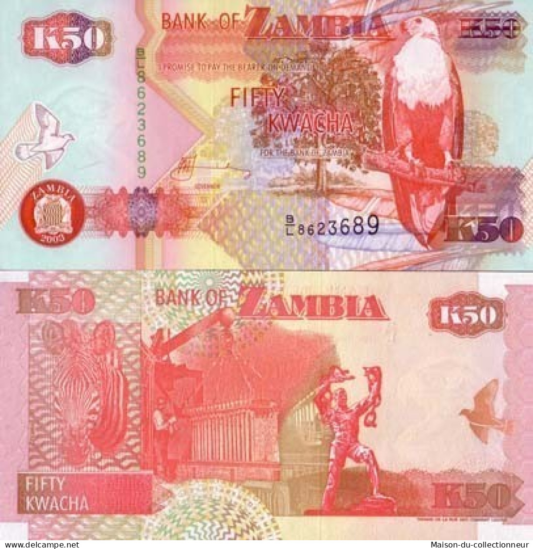 Billets Banque Zambie Pk N° 37 - 50 Kwacha - Zambie