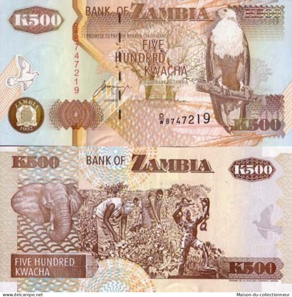 Billet De Banque Zambie Pk N° 39 - 500 Kwacha - Zambia