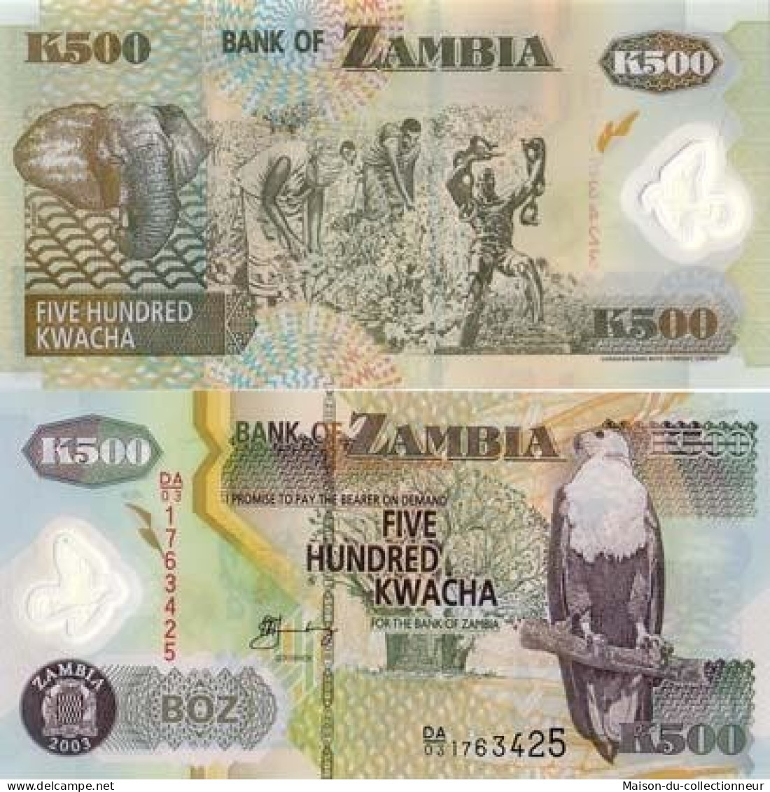 Billets Collection Zambie Pk N° 43 - 500 Kwacha - Sambia