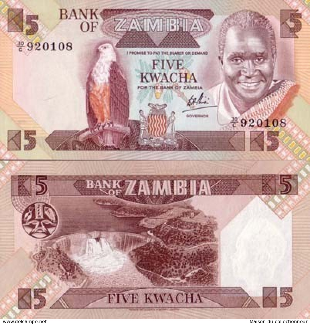 Billets De Banque Zambie Pk N° 25 - 5 Kwacha - Zambia