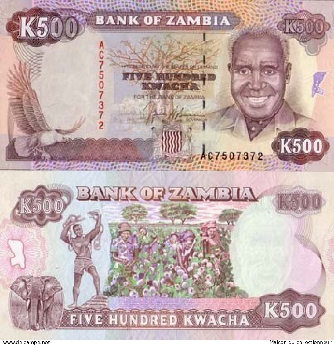 Billets Banque Zambie Pk N° 35 - 500 Kwacha - Zambie