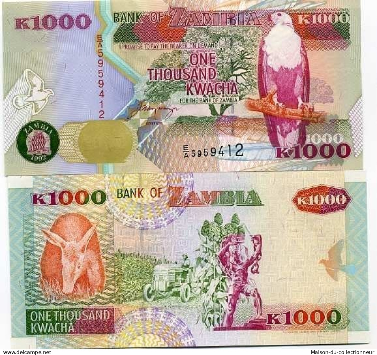 Billets Collection Zambie Pk N° 40 - 1000 Kwacha - Zambia