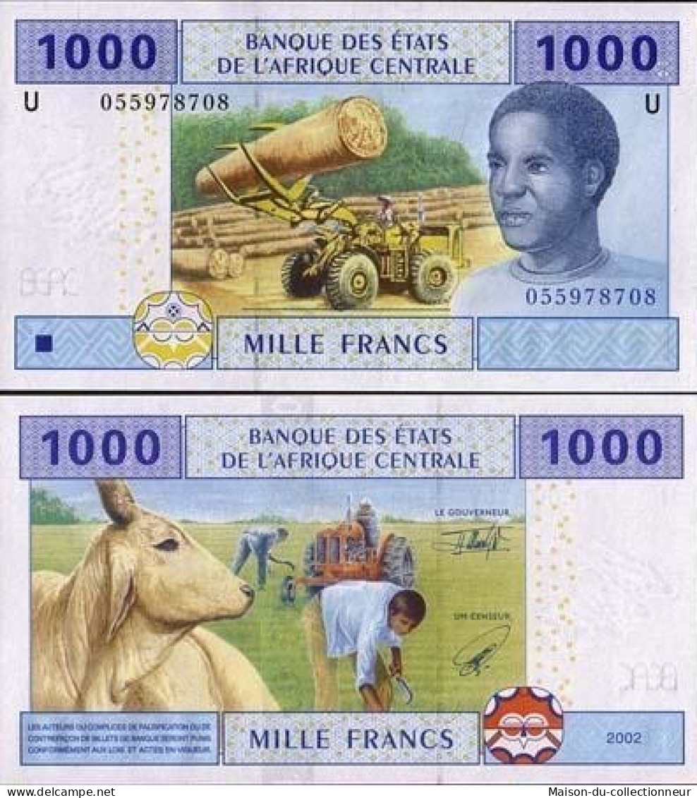 Billets De Banque Afrique Centrale Cameroun Pk N° 207 - 1000 Francs - Kameroen