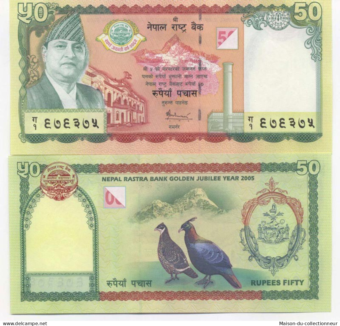 Billets Collection Nepal Pk N° 52 - 50 Rupees - Népal