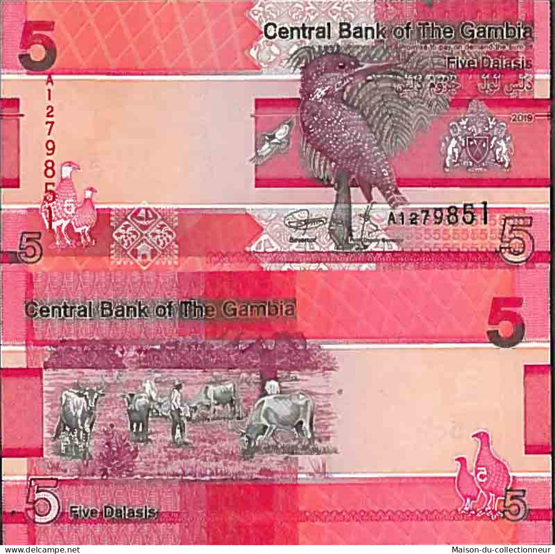 Billet De Banque Collection Gambie - W N° 37 - 5 Dalasis - Gambia