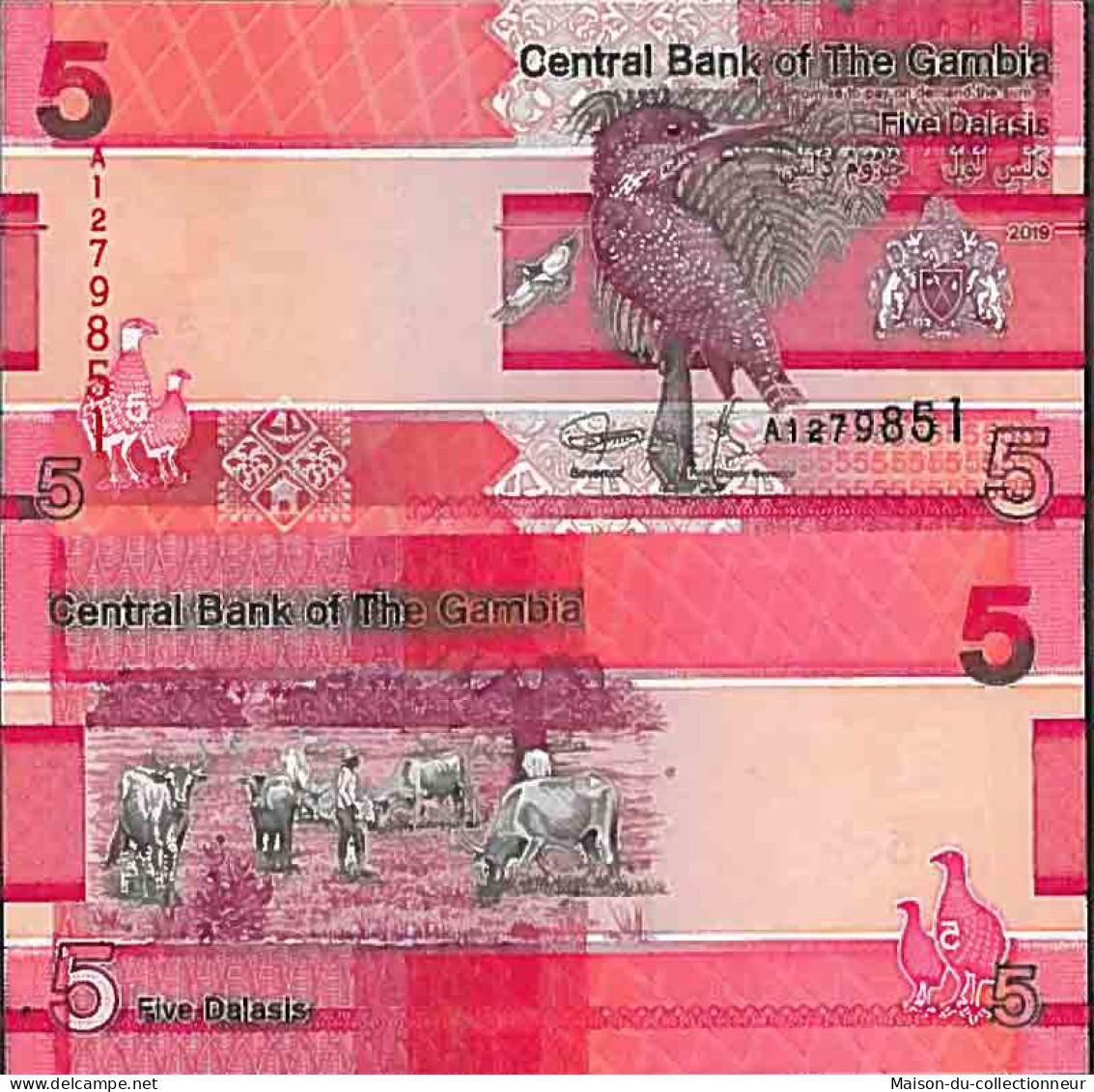 Billet De Banque Collection Gambie - PK N° 999SERIE -  Dalasis - Gambie