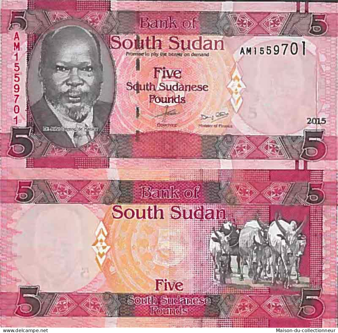 Billet De Banque Collection Soudan Du Sud - PK N° 11 - 5 Pounds - Sudan Del Sud
