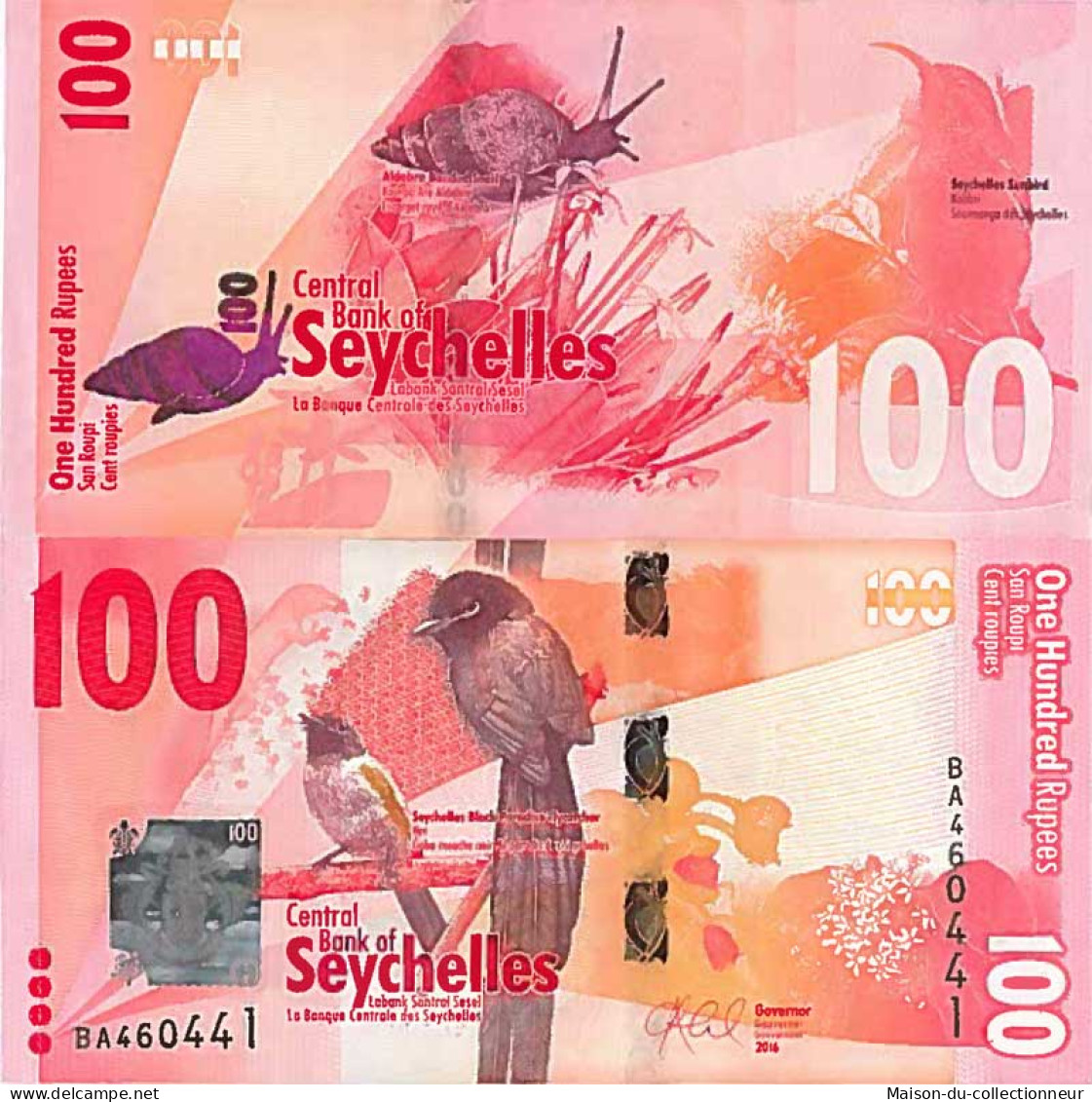 Billet De Banque Collection Seychelles - PK N° 50 - 100 Ruppes - Seychelles
