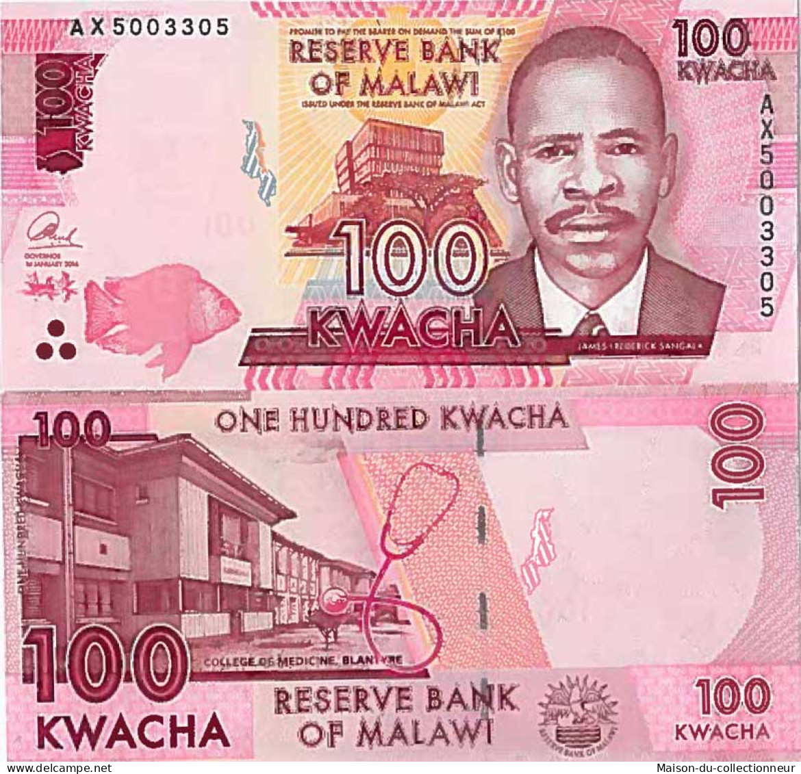 Billet De Banque Collection Malawi - PK N° 65 - 100 Kwacha - Malawi