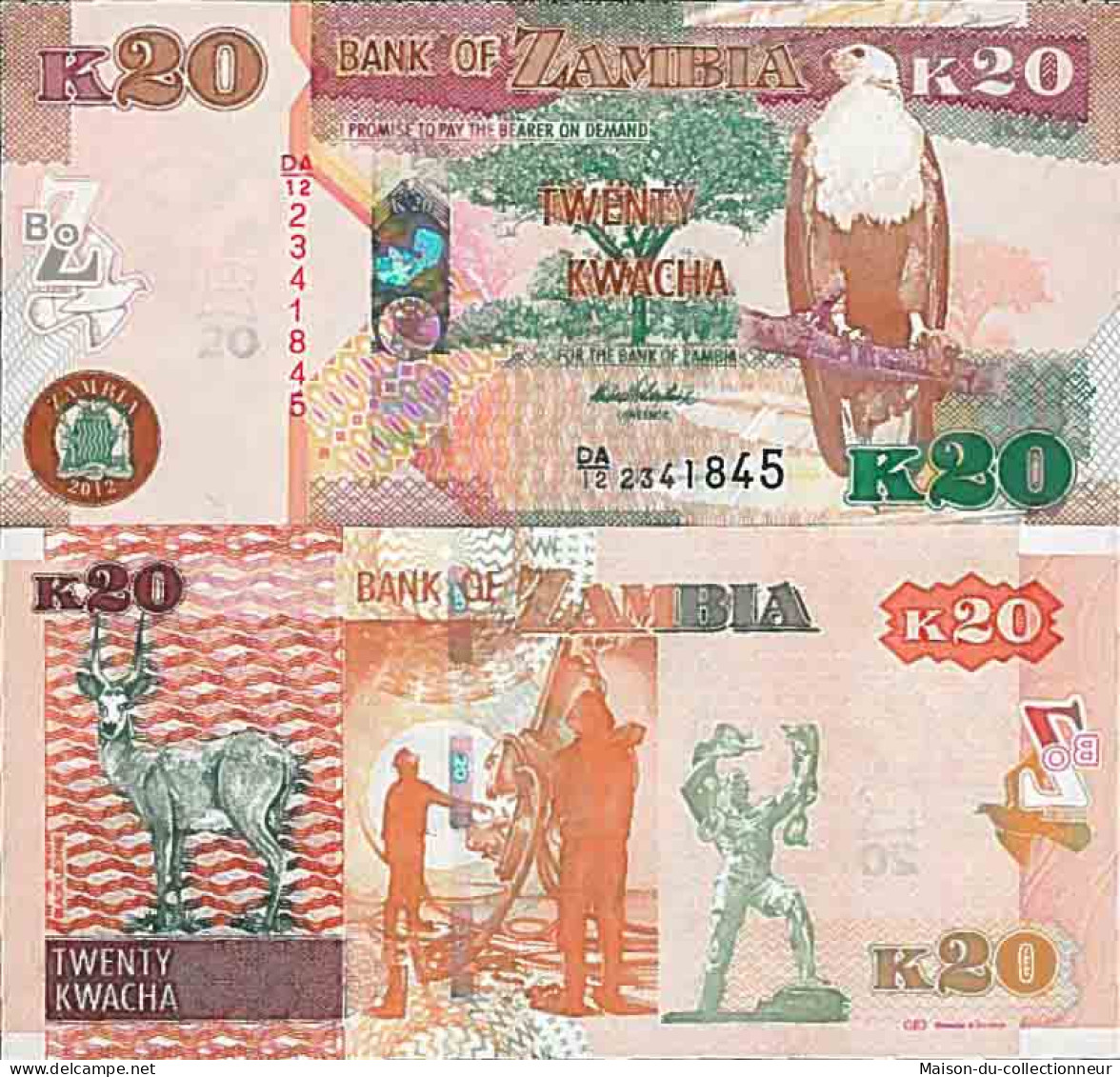 Billet De Banque Collection Zambie - PK N° 52 - 20 Kwacha - Sambia