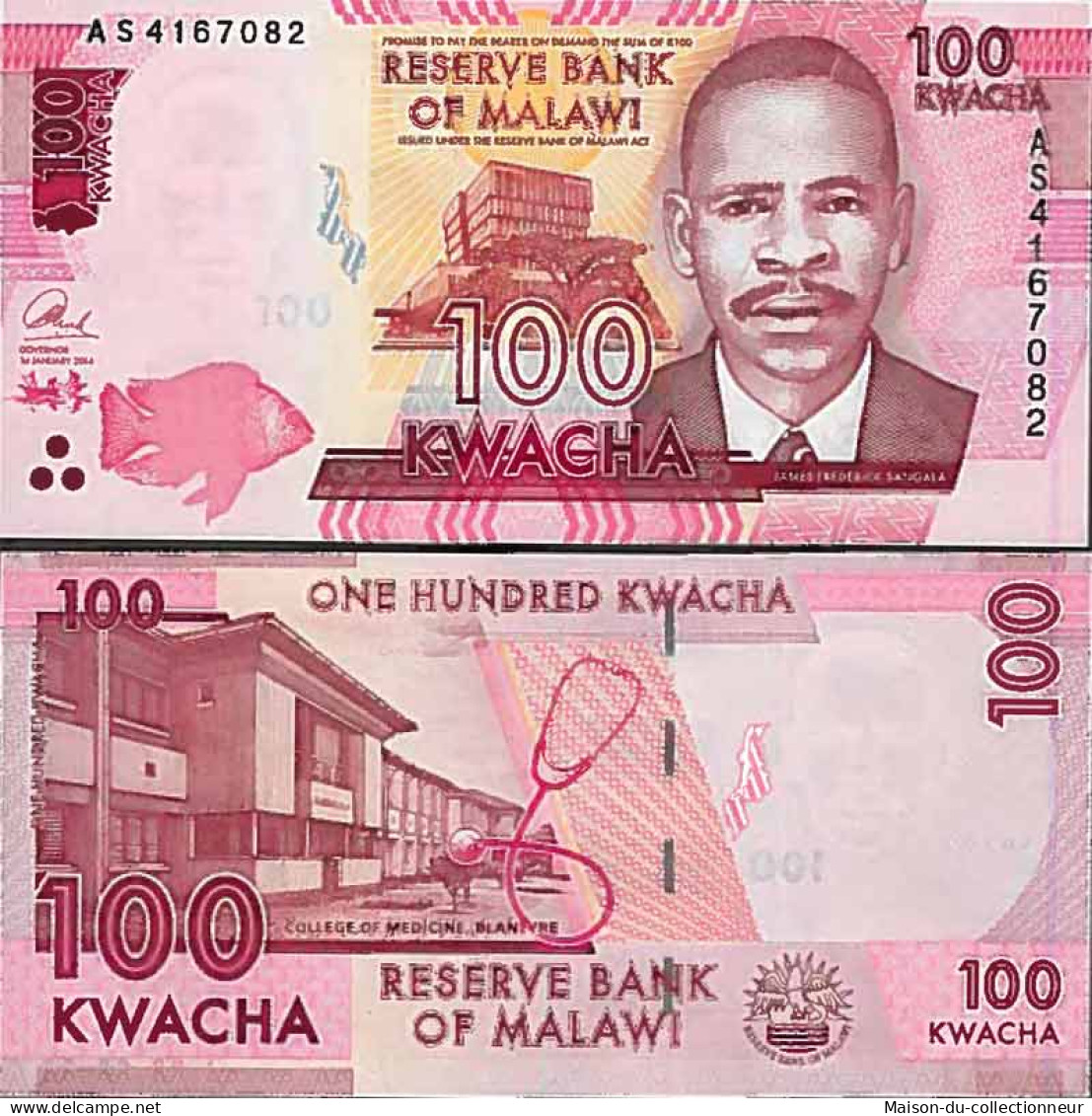 Billet De Banque Collection Malawi - PK N° 59 - 100 Kwacha - Malawi