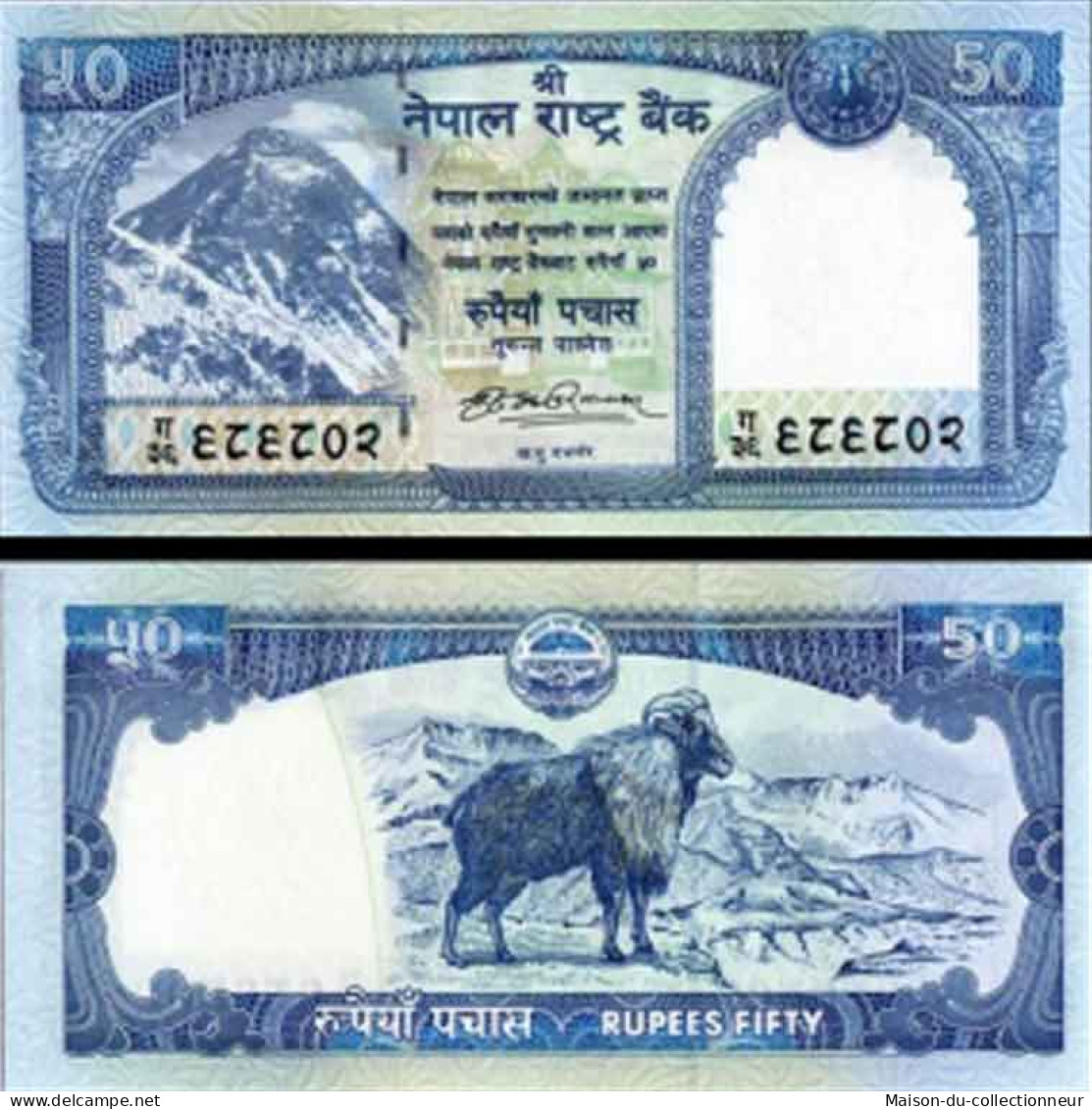 Billet De Banque NEPAL Pk N° 63 - 50 Rupees - Népal