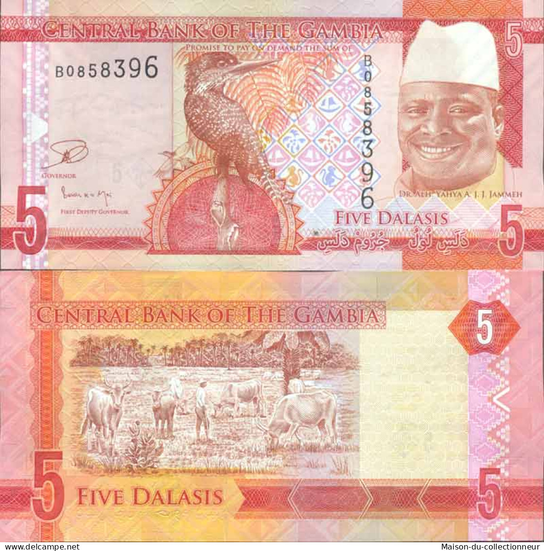 Billet De Banque Collection Gambie - PK 31 - 5 Dalasis - Gambia