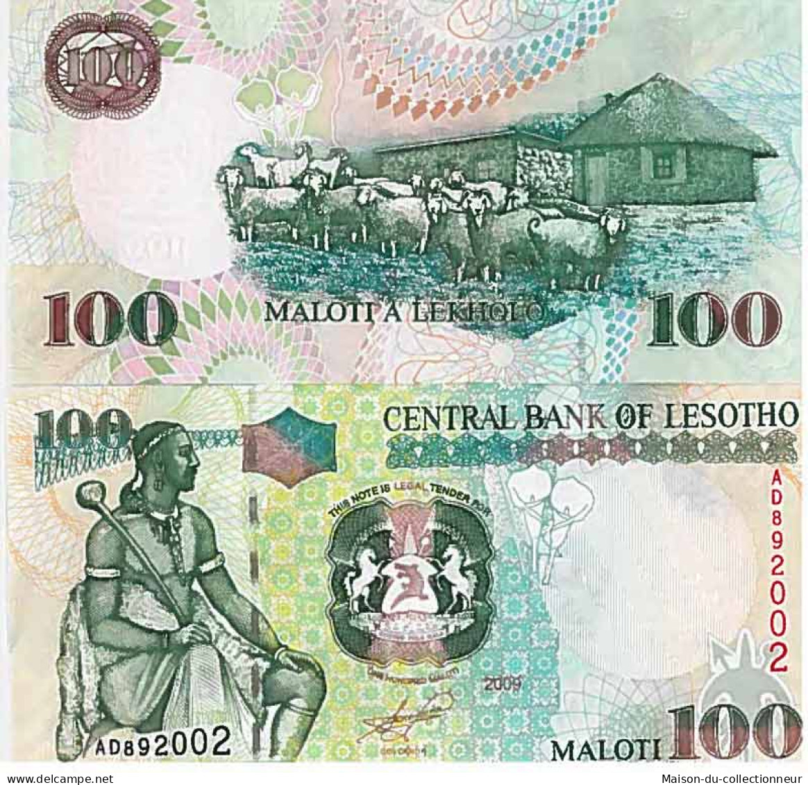 Billet De Banque Collection Lesotho - PK N° 19 - 100 Maloti - Lesotho
