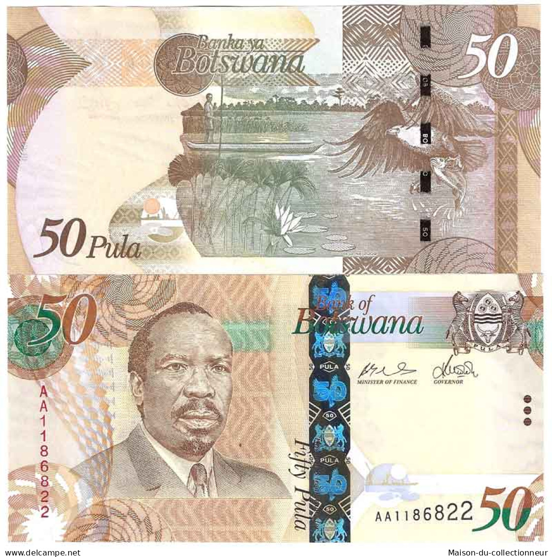 Billet De Banque Collection Botswana - PK N° 32 - 50 Pula - Botswana