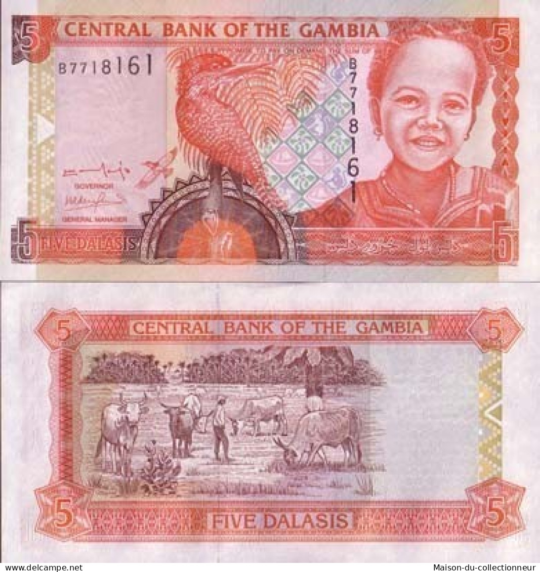 Billet De Banque GAMBIE Pk N° 20 - 5 Dalasis - Gambia