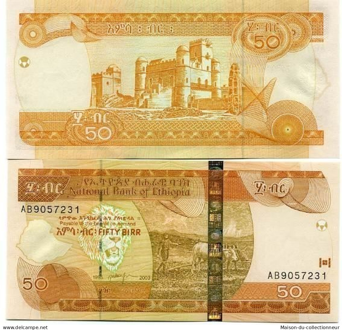 Billets Banque Ethiopie Pk N° 51 - 50 Birr - Ethiopia