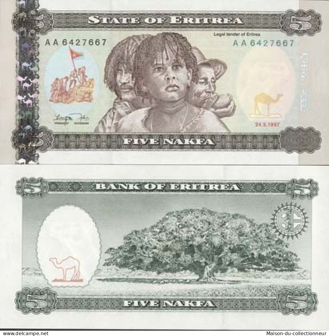 Billet De Banque Erythree Pk N° 2 - 5 Nafka - Erythrée