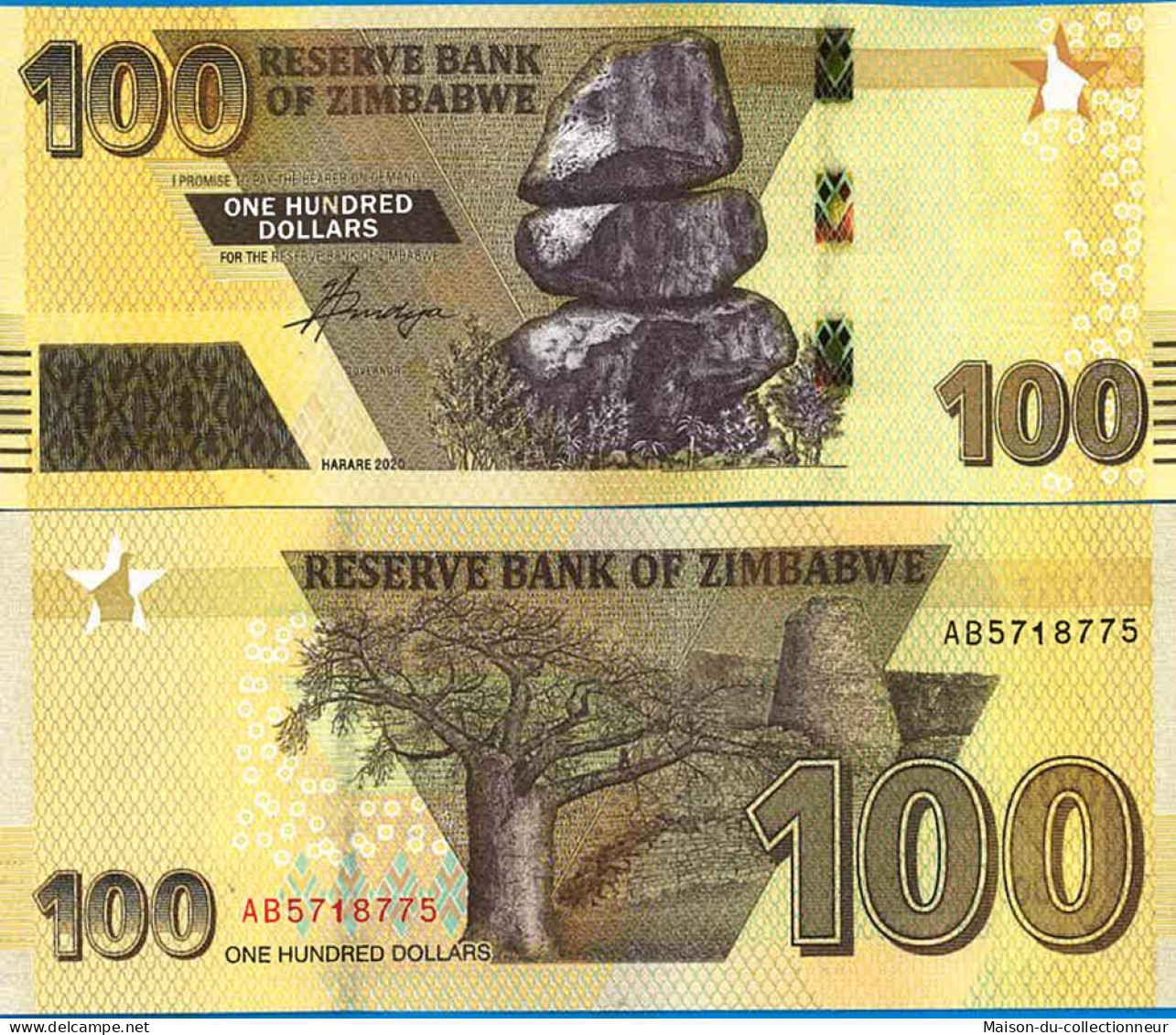Billet De Banque Collection Zimbabwe - W N° 106 - 100 Dollars - Zimbabwe