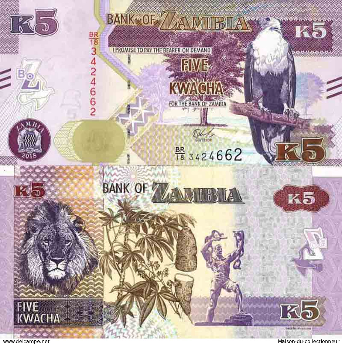 Billet De Banque Collection Zambie - PK N° 57 - 5 Kwacha - Sambia