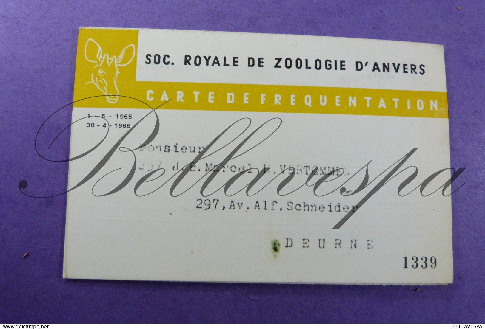 Soc. R. Zoologie D'Anvers Marcel Vertommen Deurne 1965-1966  N° 1339 Acces Du Jardin Lidkaart Inkom Zoo Antwerpen - Membership Cards