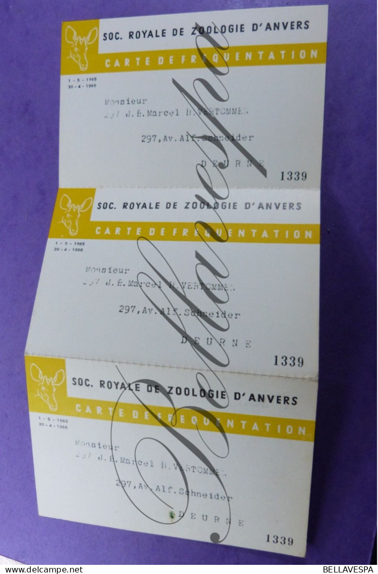 Soc. R. Zoologie D'Anvers Marcel Vertommen Deurne 1965-1966  N° 1339 Acces Du Jardin Lidkaart Inkom Zoo Antwerpen - Membership Cards