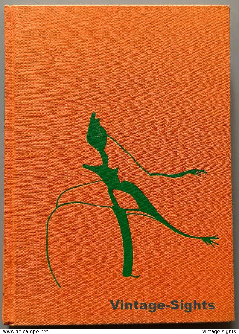 Lucy R. Lippard: Pop Art (Vintage Book 1968) - Malerei & Skulptur