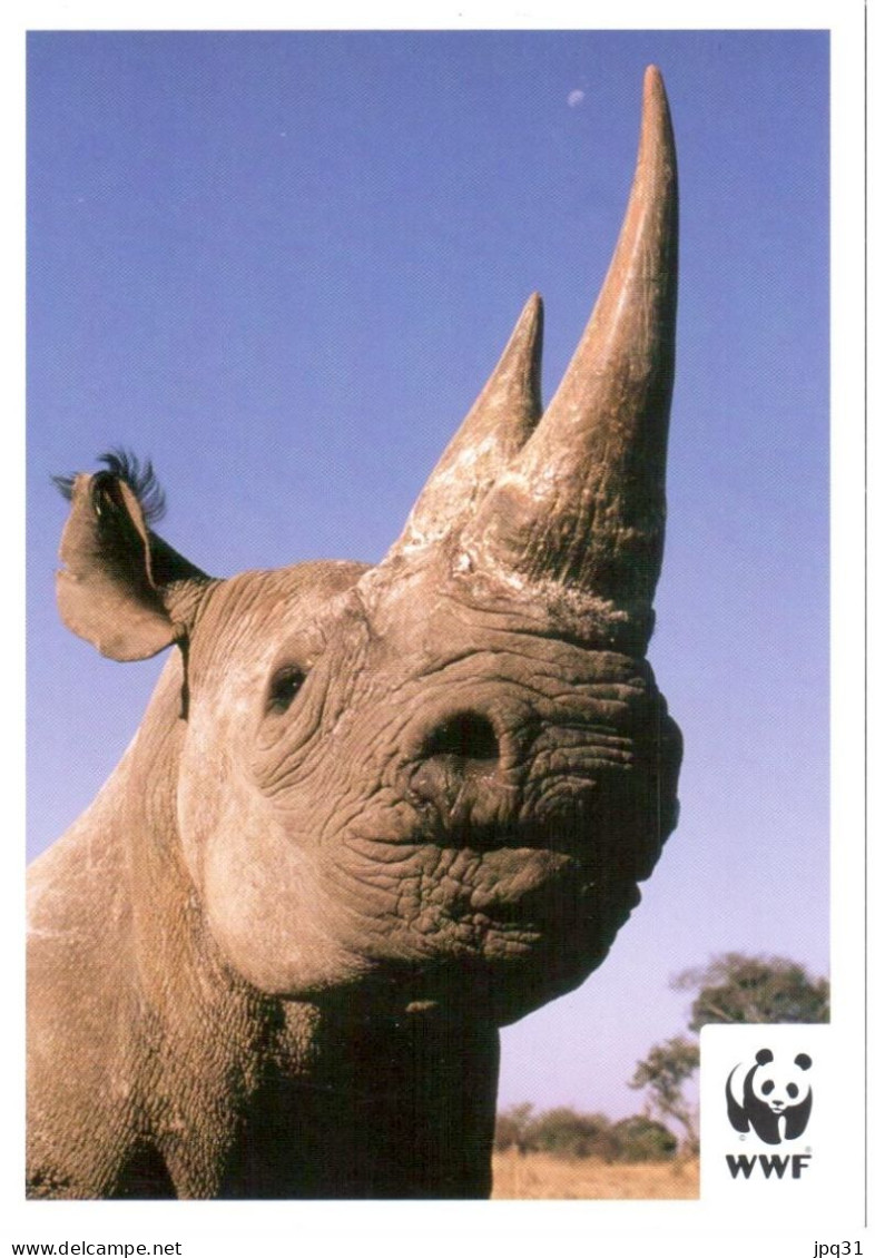 CP WWF Rhinocéros - Aidez Le WWF à Le Protéger Des Trafiquants - Rhinoceros