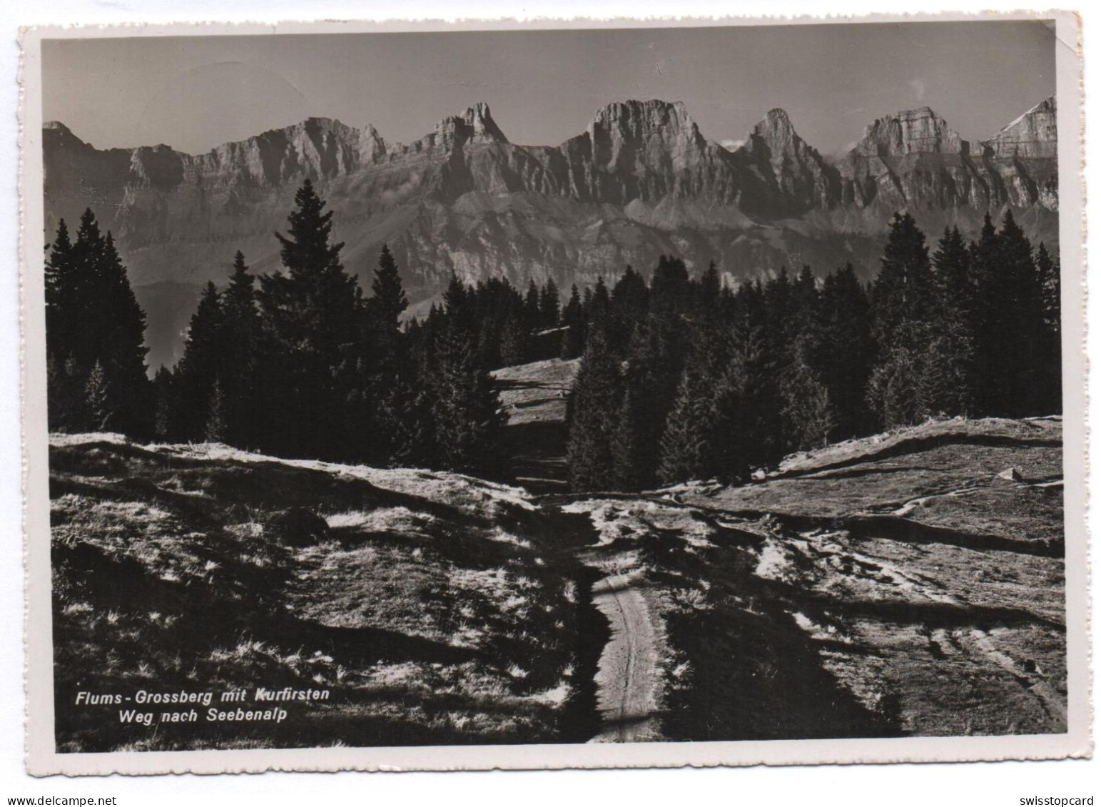 FLUMS-GROSSBERG Mit Churfirsten Weg Nach Seebenalp - Flums