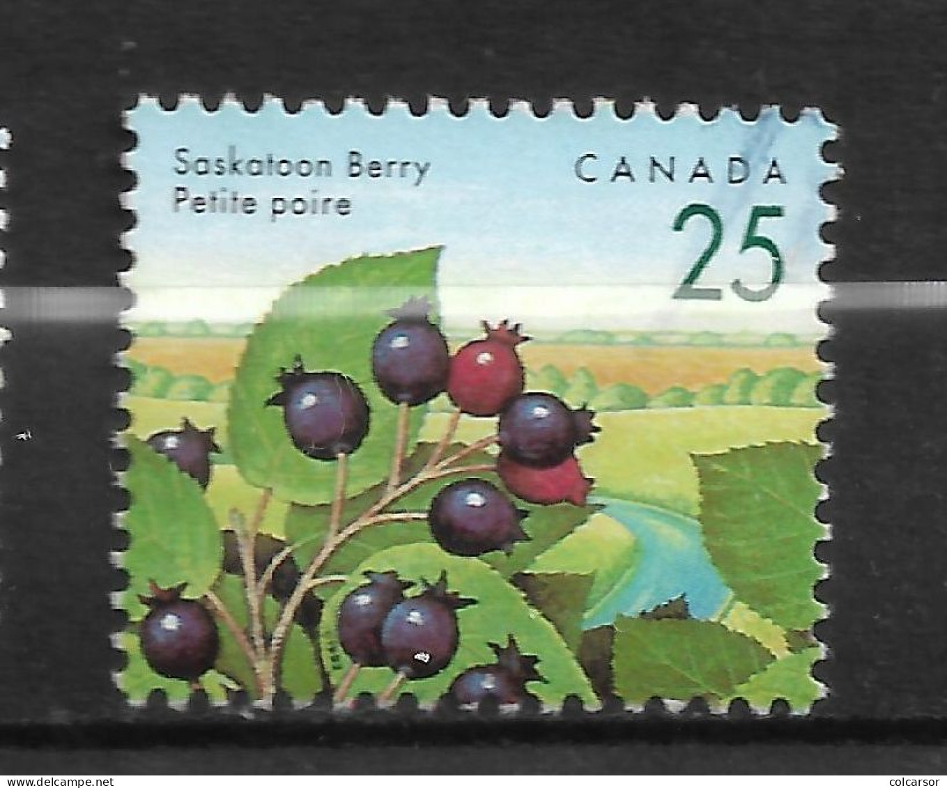 "CANADA  N°   1268 " FRUITS " - Used Stamps