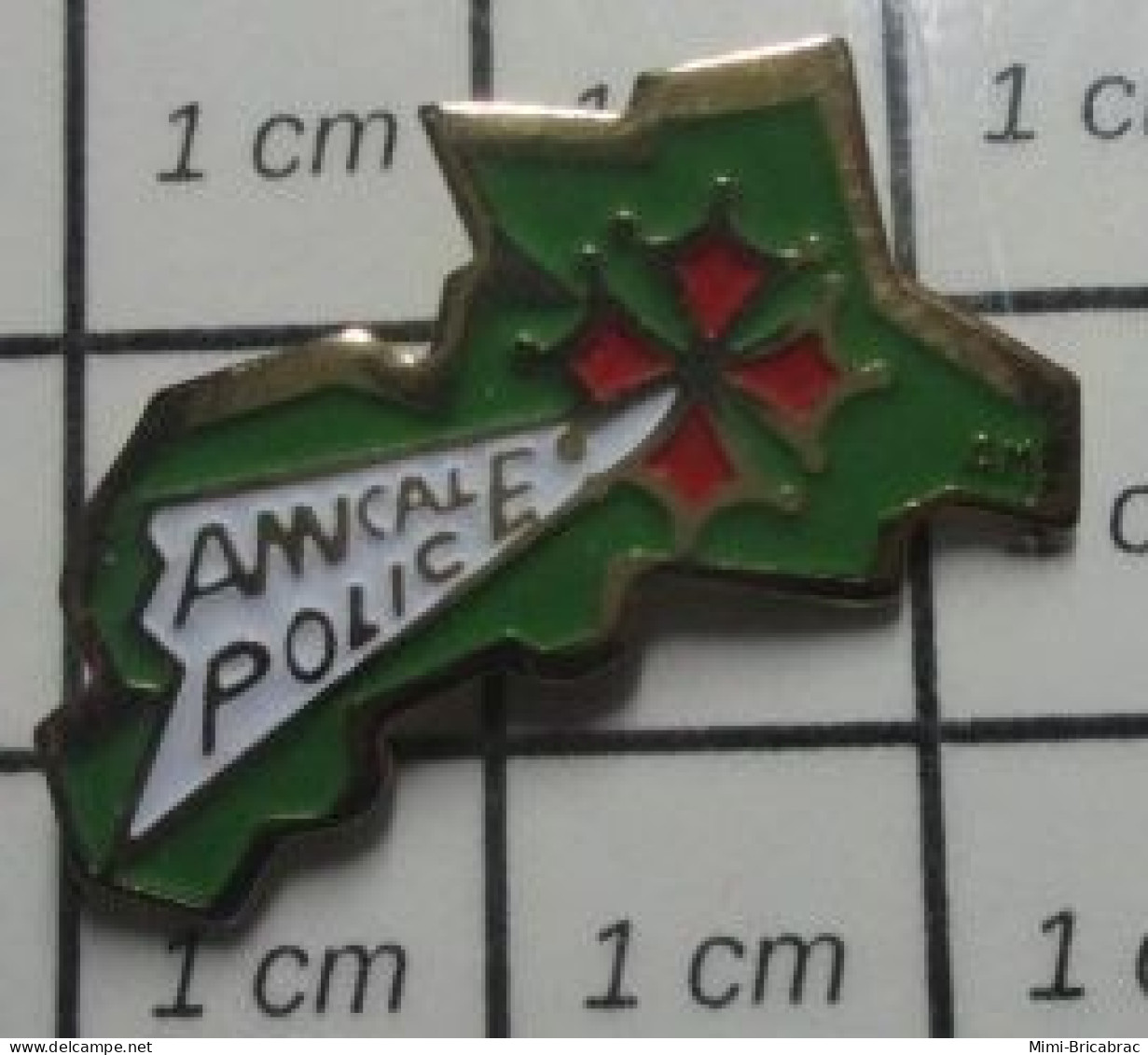 3022 Pin's Pins / Beau Et Rare / POLICE / AMICALE POLICE HERAULT CROIX OCCITANE - Police