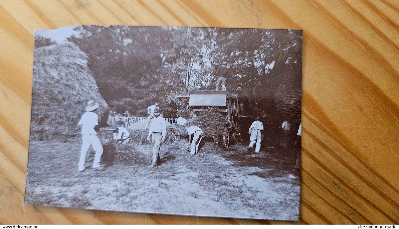 7 - LOIRET 45 FERME VERS LA FERTE ST AUBIN TRAVAIL DU FOIN MACHINE - PHOTO 8.5X6 CM - Old (before 1900)