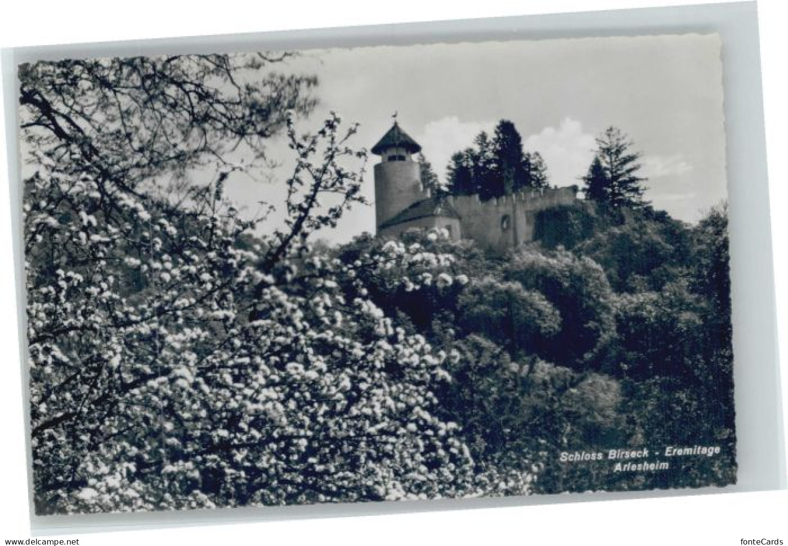 10668188 Arlesheim Arlesheim Schloss Birseck * Arlesheim - Autres & Non Classés