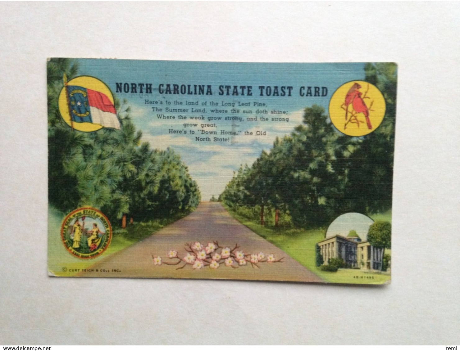 North Carolina, The Tar Heel State, Was One Of The Thirteen Original States USA Caroline Du Nord Oblitération Charlotte - Charlotte