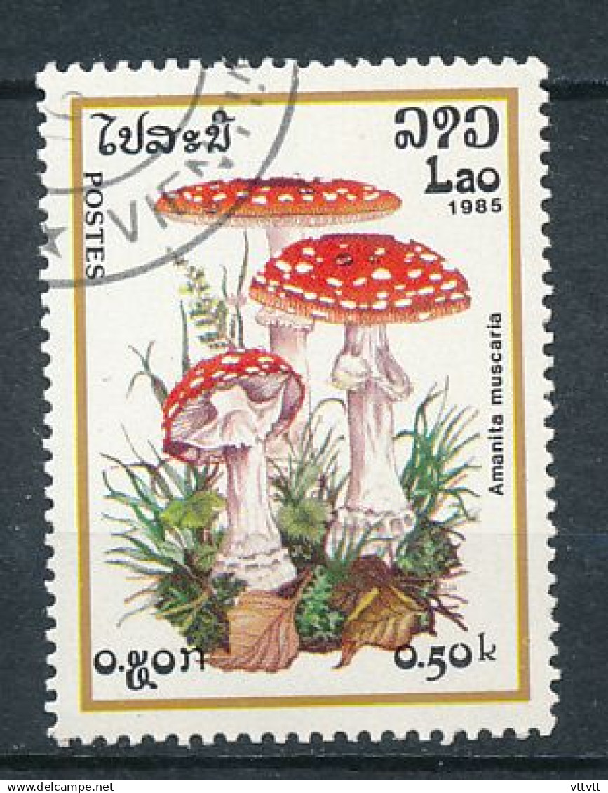 Timbre : POSTES LAO, LAOS (1985), Champignon, Amanita Muscaria, Amanite Tue-mouches, Oblitéré - Pilze