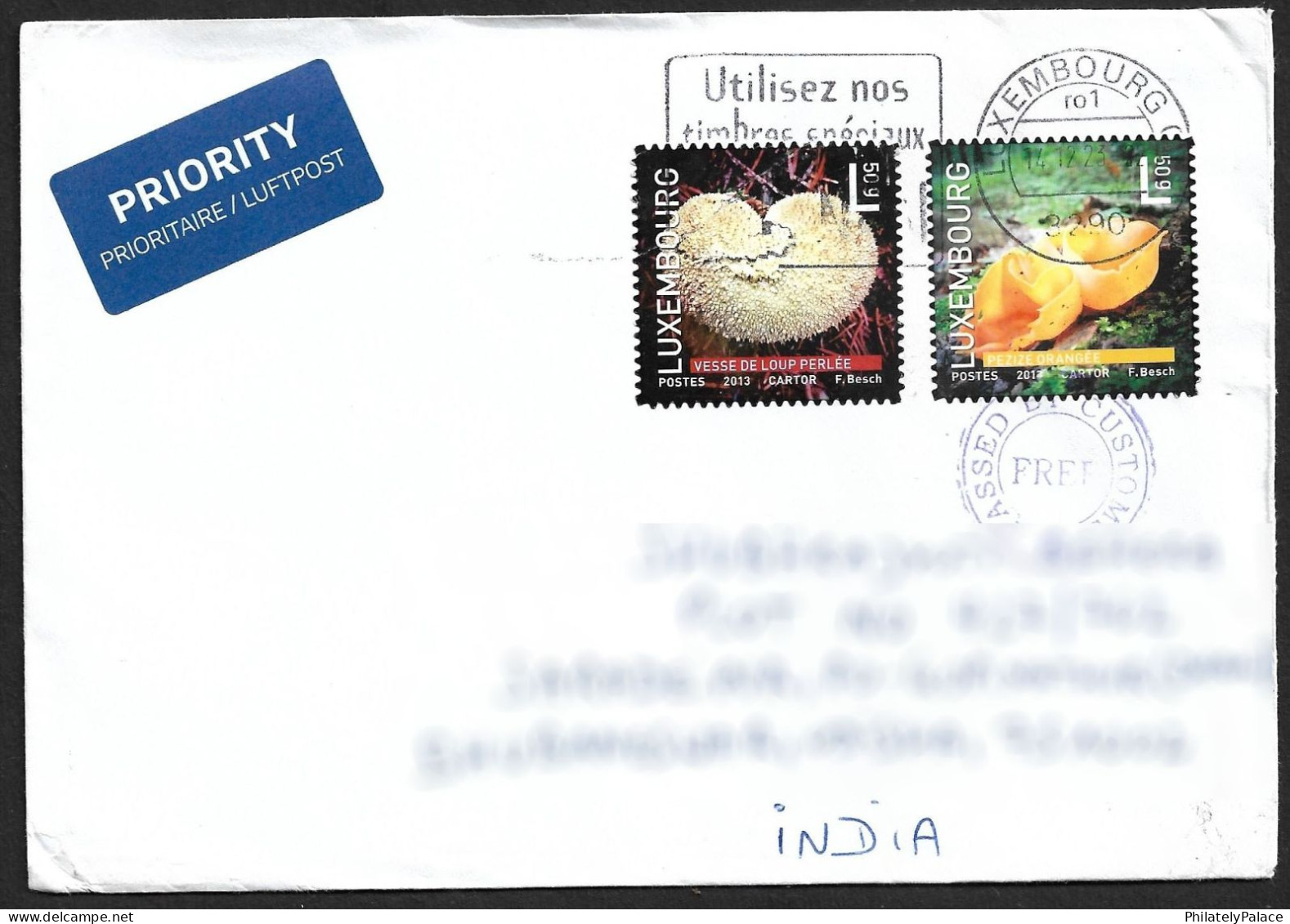 Luxembourg 2013 Mushroom, Flora,Fungi,Eukaryotic, Microorganisms, Airmail Cover To India (**) Inde Indien - Storia Postale