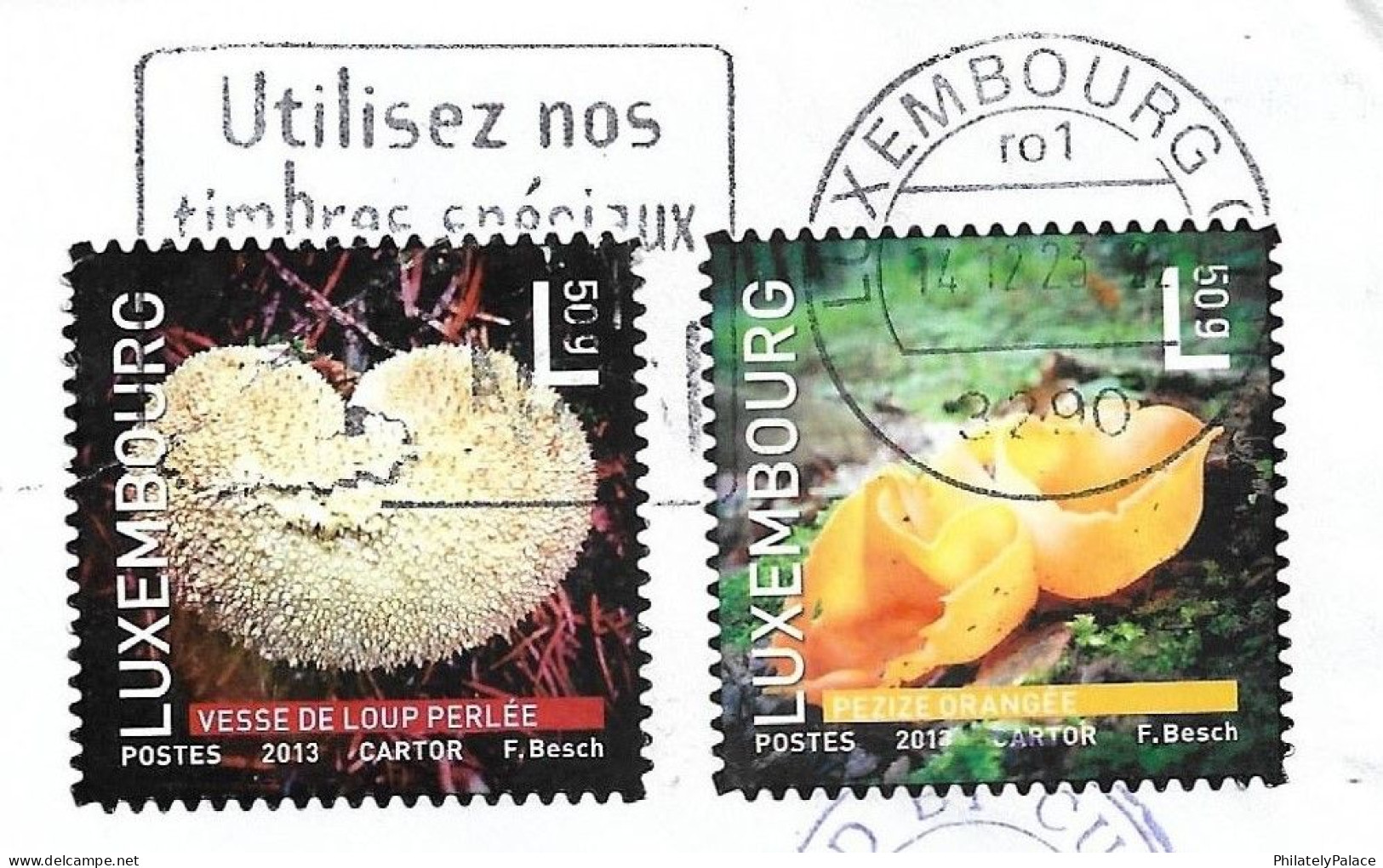 Luxembourg 2013 Mushroom, Flora,Fungi,Eukaryotic, Microorganisms, Airmail Cover To India (**) Inde Indien - Lettres & Documents