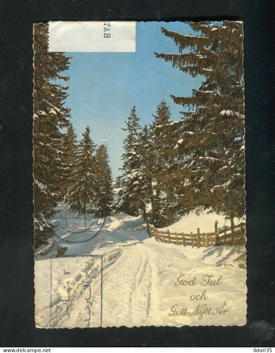 "SCHWEDEN" 1959, AK Mit "ZENSUR" Per Luftpost Nach Cairo (5798) - Covers & Documents