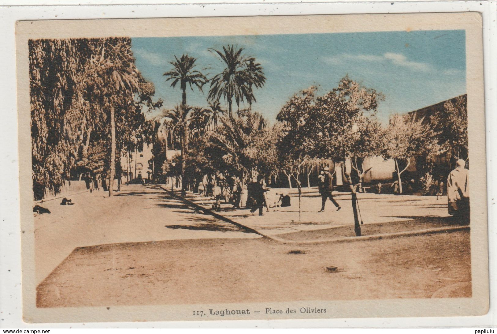 ALGERIE 469 : édit. Albert N° 117 : Laghouat Place Des Oliviers - Laghouat