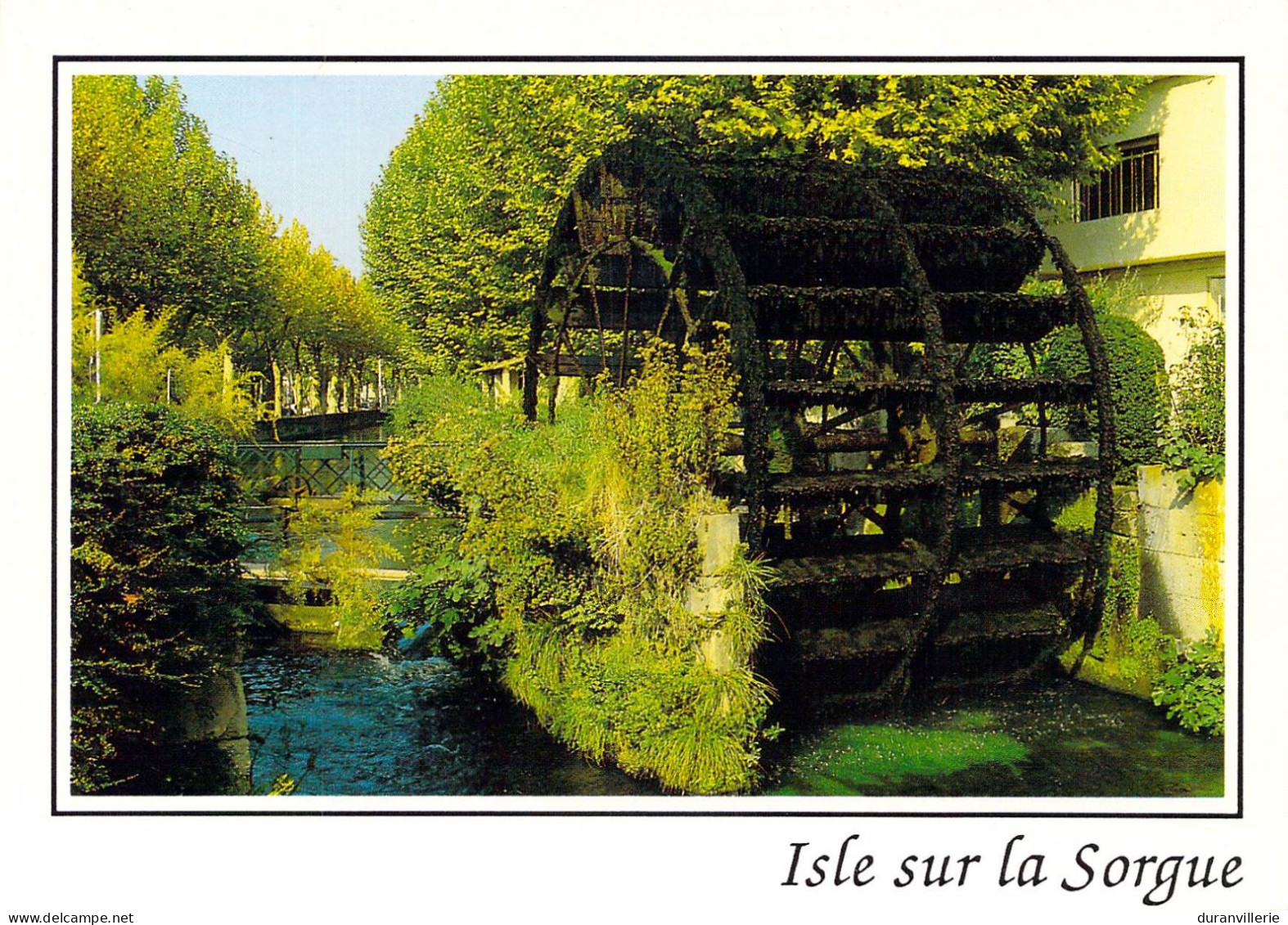 84 - Isle Sur La Sorgue - La Vieille Roue à Aubes Sue L'un Des Bras De La Sorgue Qui Traverses La Ville. 2002 - L'Isle Sur Sorgue