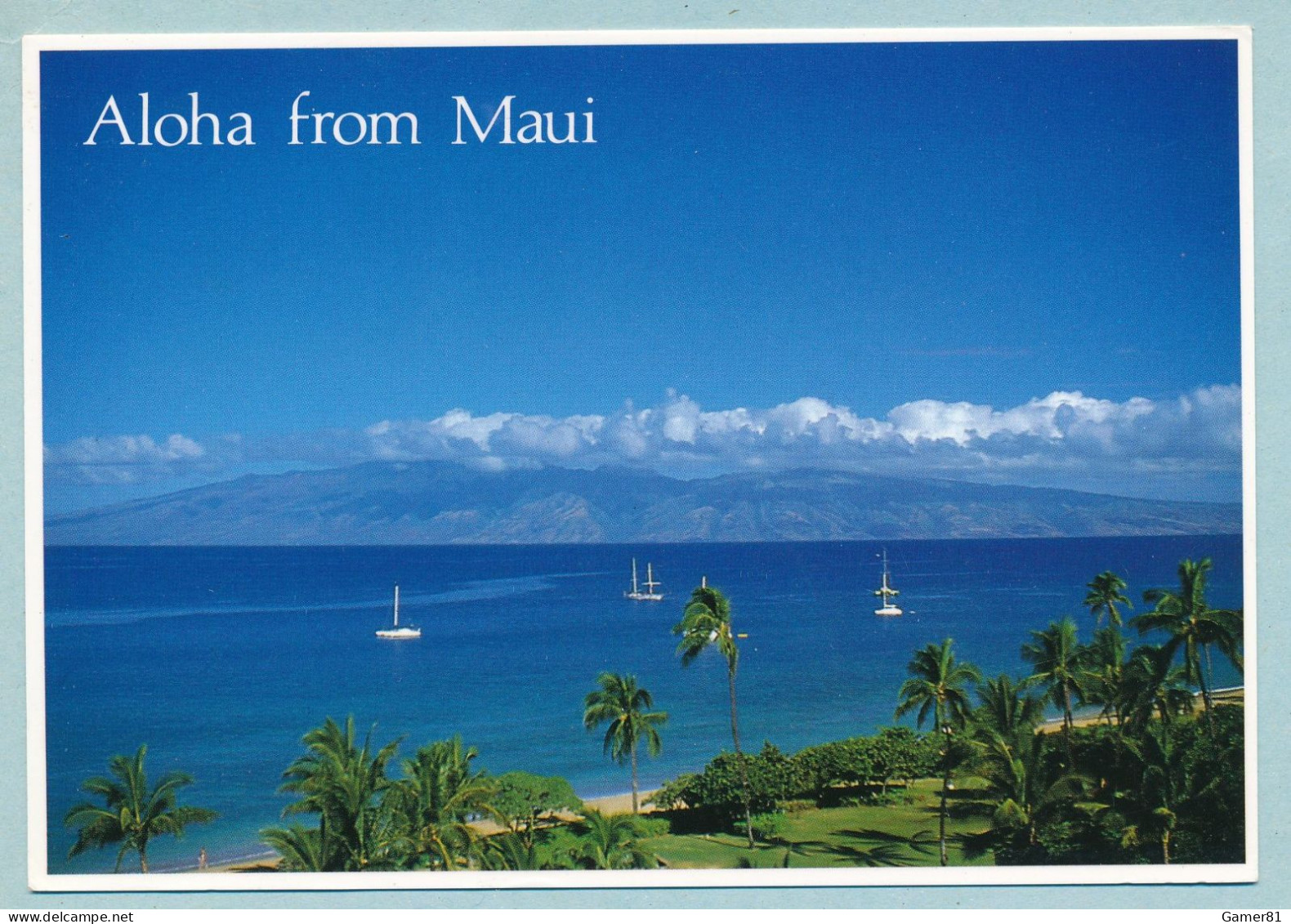 Aloha From Maui - Kaanapali Beach - Maui