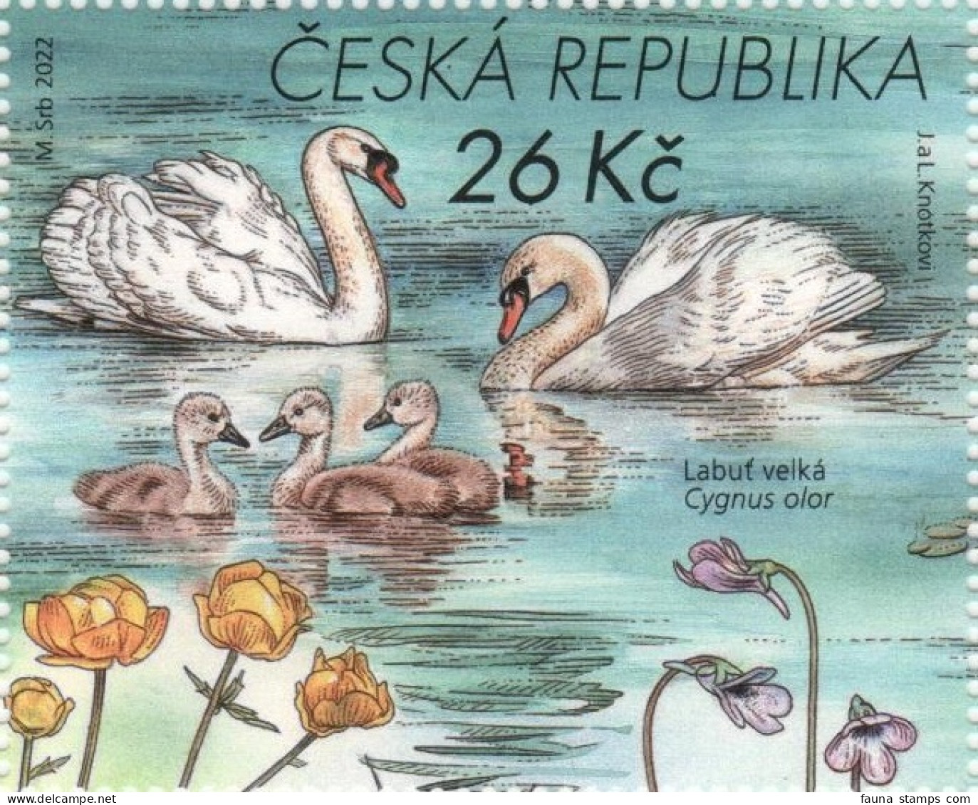 Czech Republic - Mute Swan (Cygnus Olor), Stamp, MNH, 2022 - Cygnes