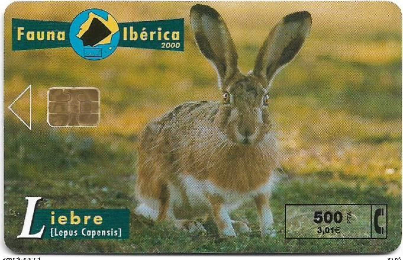 Spain - Telefonica - Fauna Iberica - Liebre Rabbit - P-445 - 10.2000, 500PTA, 8.000ex, Used - Privatausgaben