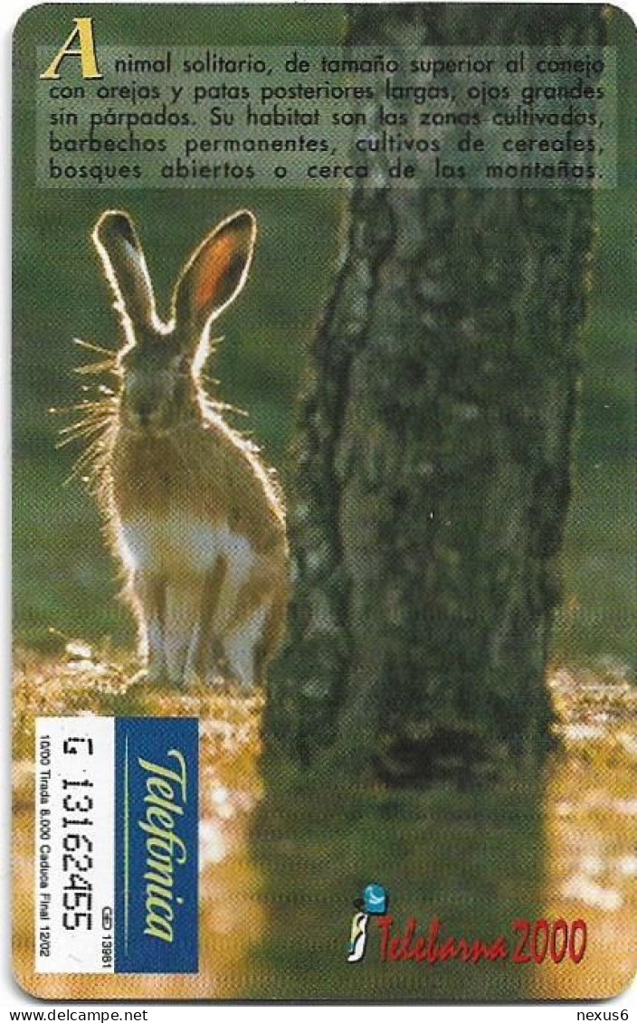 Spain - Telefonica - Fauna Iberica - Liebre Rabbit - P-445 - 10.2000, 500PTA, 8.000ex, Used - Emisiones Privadas