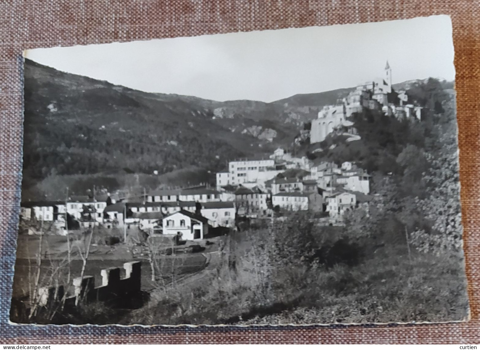 CONTES Les PINS . 06 . Une Vue A Reconnaitre En 1960 . Rare . - Contes