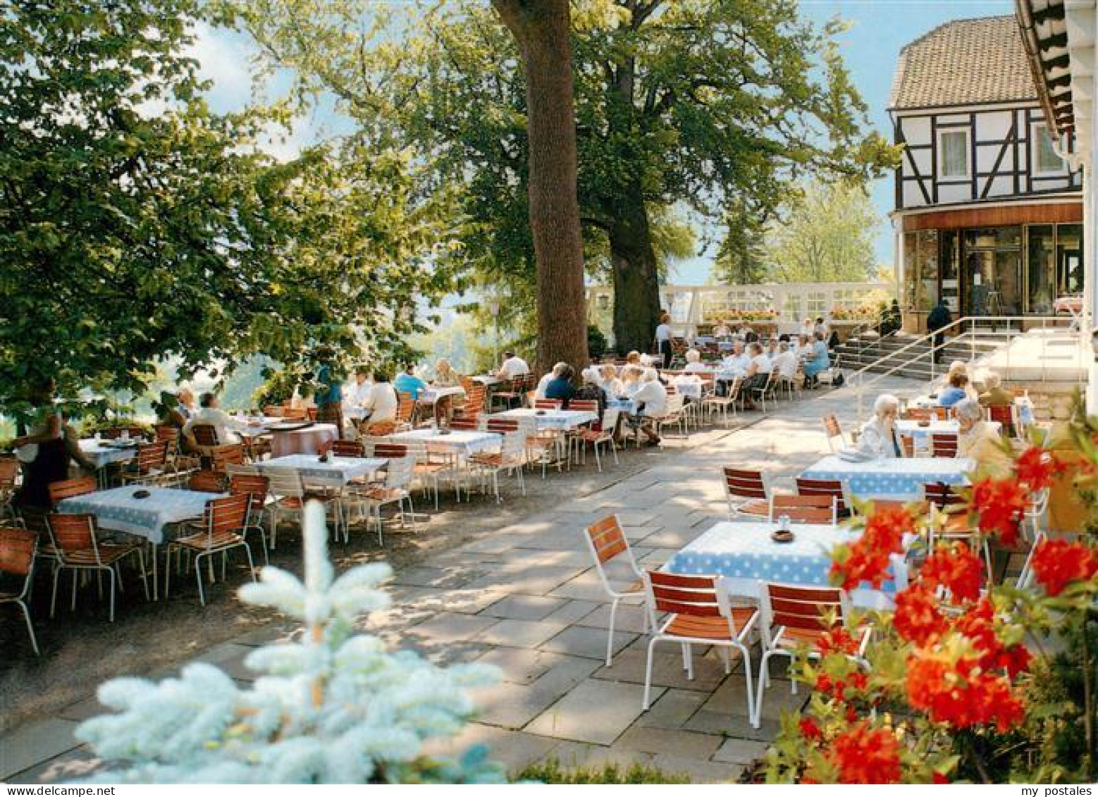 73951239 Reitling_Koenigslutter_am_Elm Haus Reitling Terrasse - Königslutter